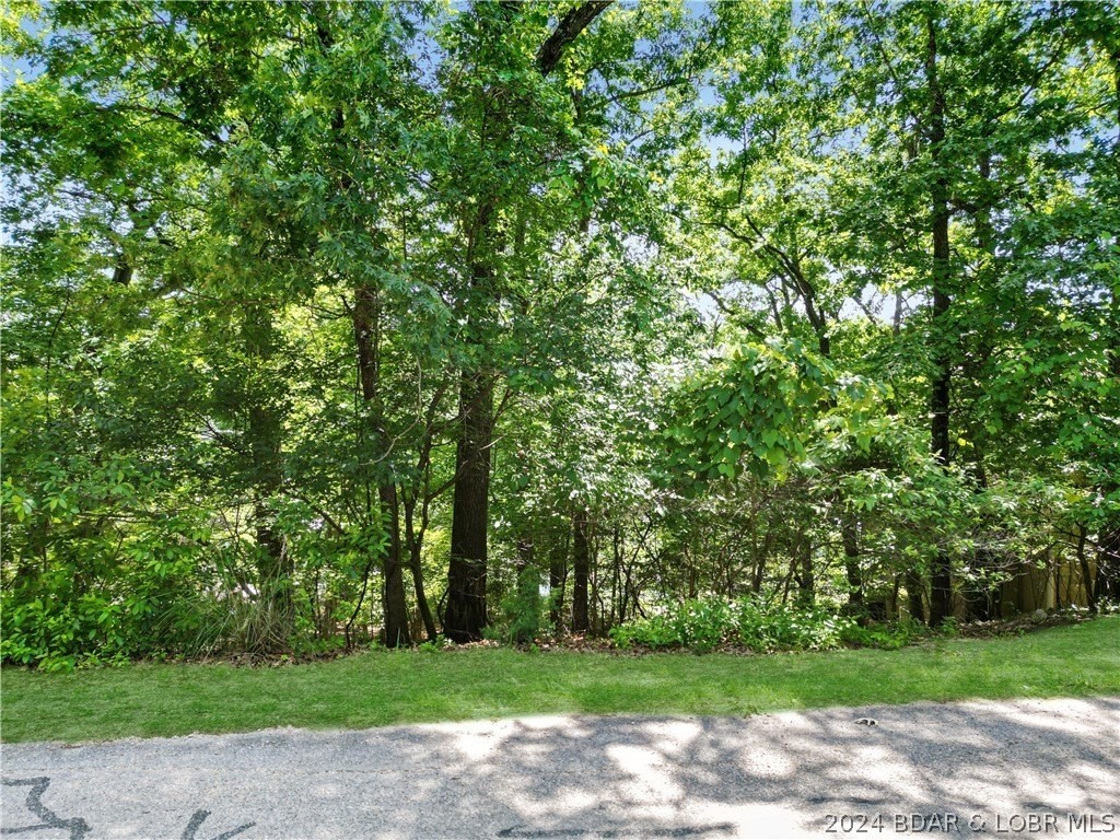 9. Lot 418 Grand View Drive