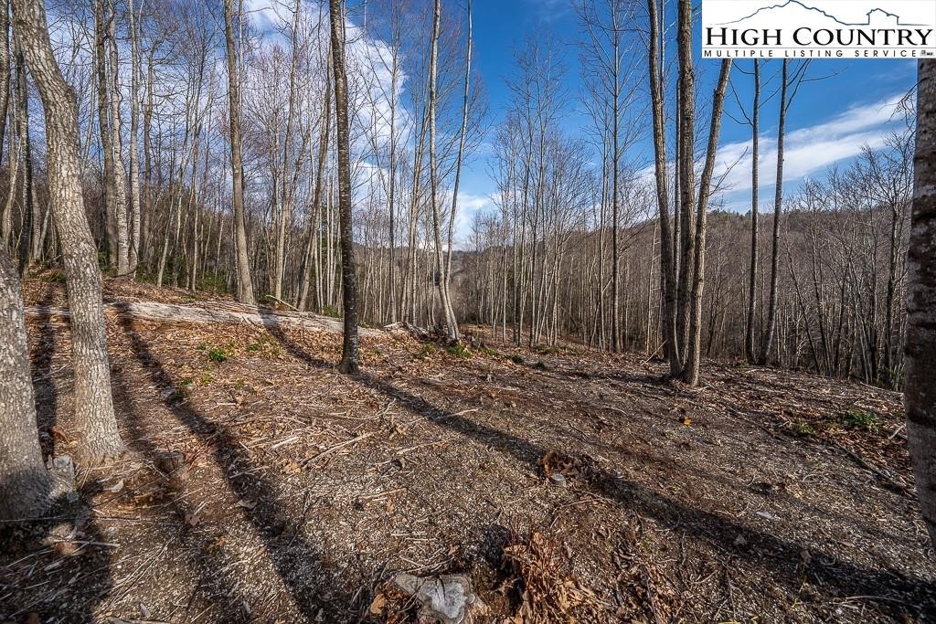 1. Lot 90 Tbd Beaver Dam Road