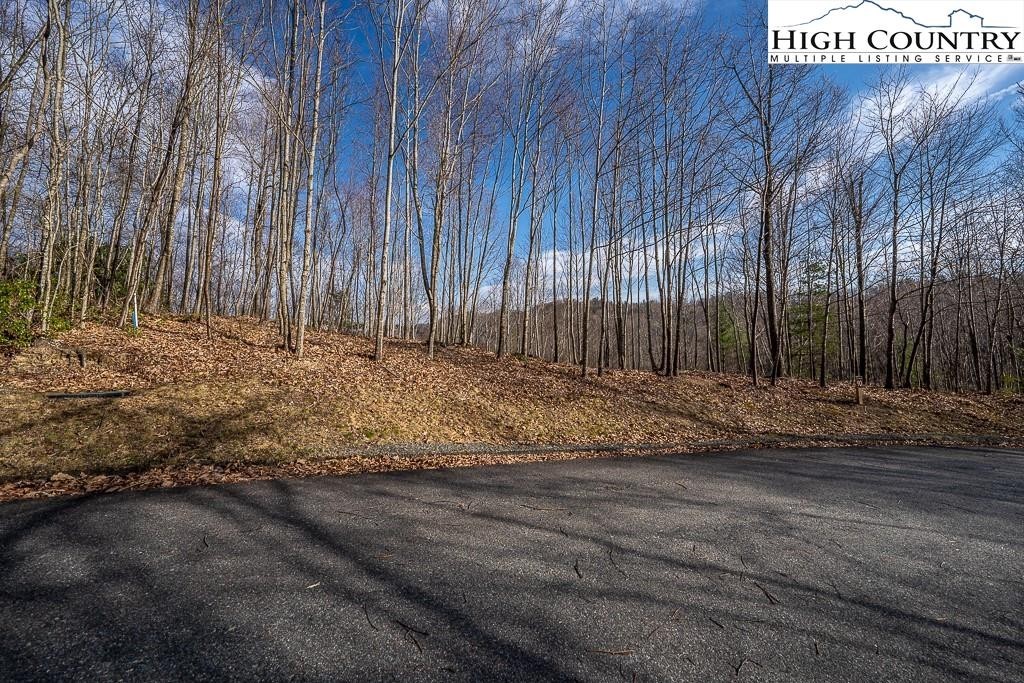 20. Lot 90 Tbd Beaver Dam Road