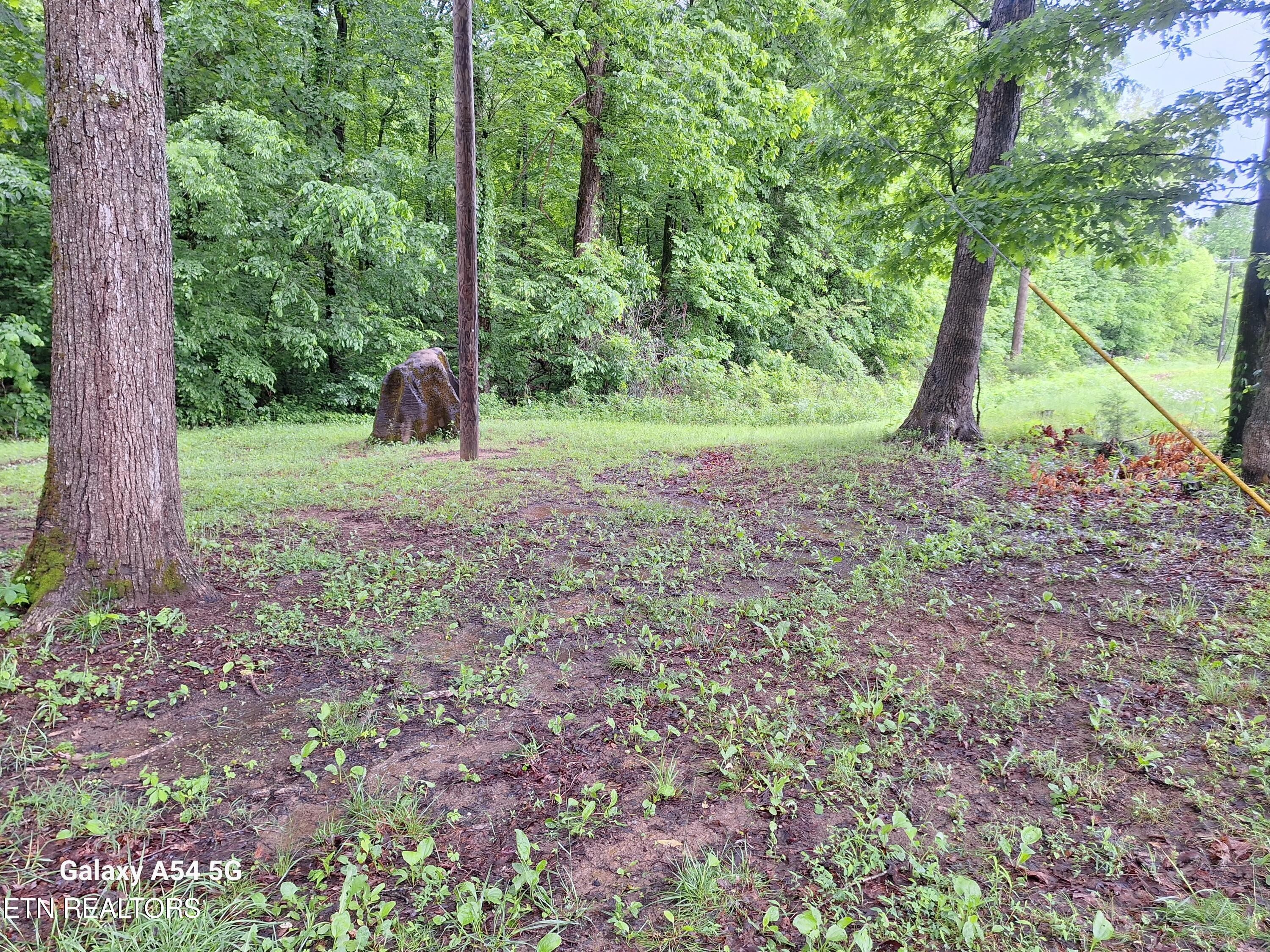 3. (Cloyds Creek ) Meadow Rd West