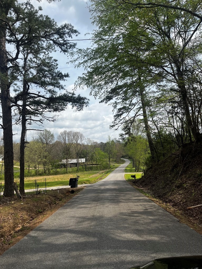 16. Tract 4 Cr 376 (Lafayette County)