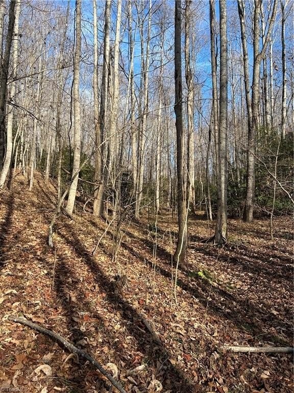 5. 00 Hickman Hollow Trail