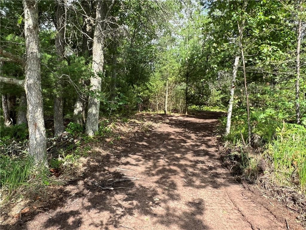 12. Lot 6 Buck Lake Road