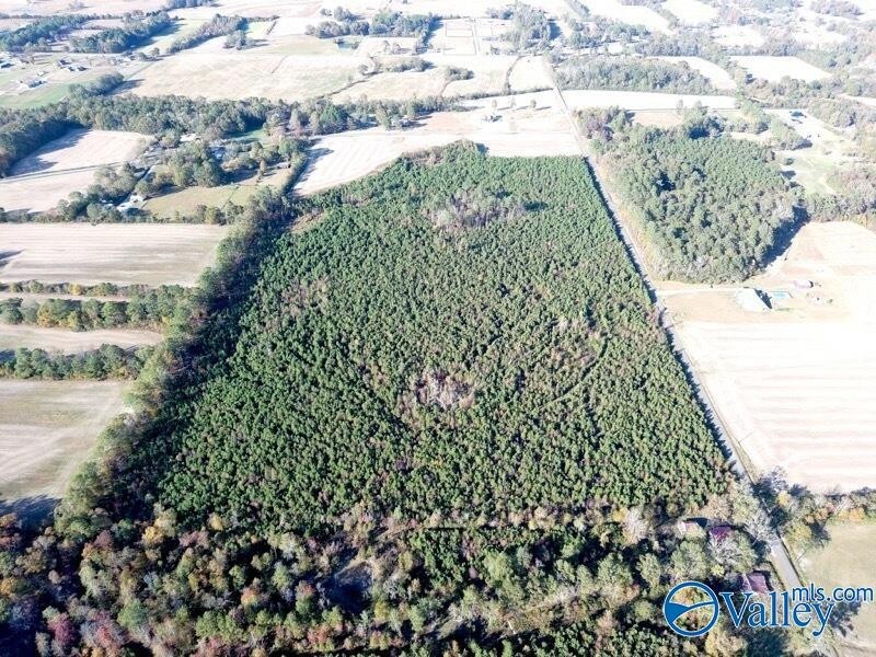 2. 69 Acres Wilson Mann Road