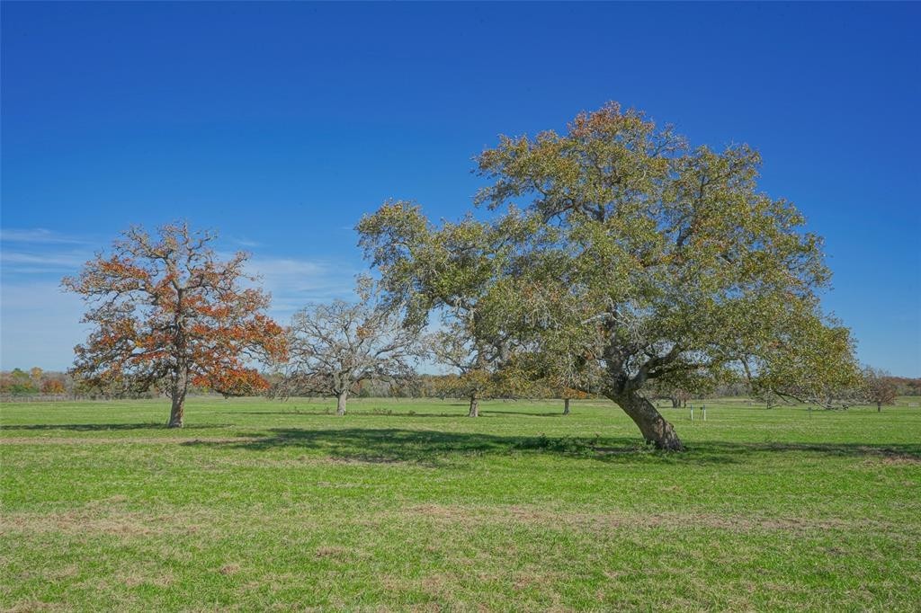13. 24+/- Acres Dyess Road