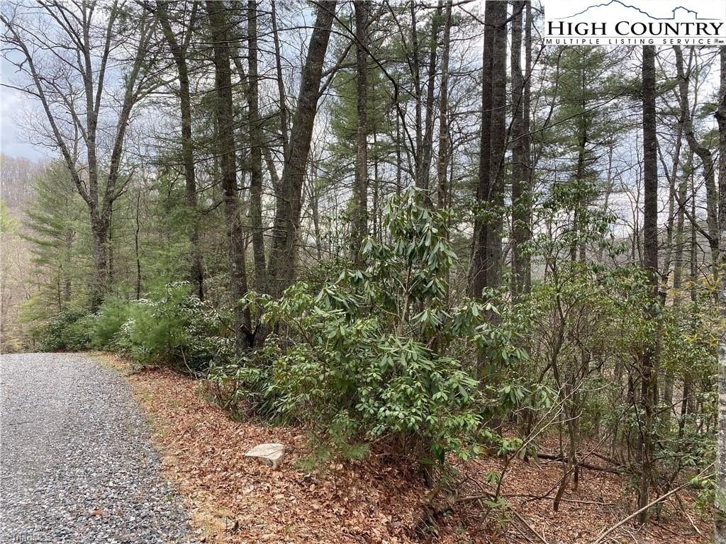 2. Lot 35 Whitetail Drive