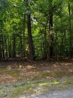 1. Lot 18 Ferry Hill Trail