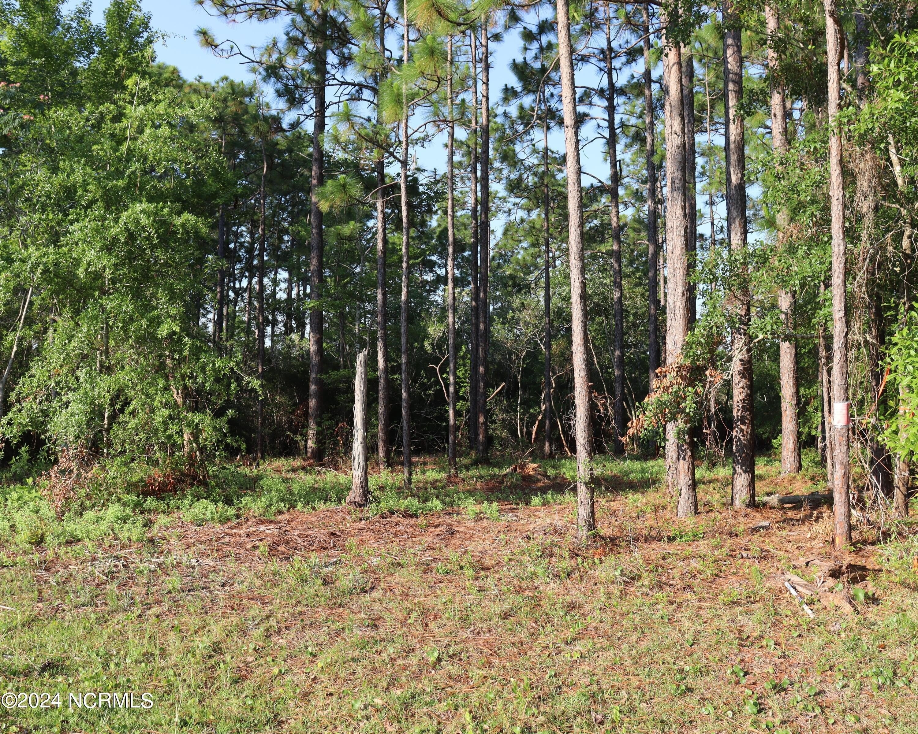 1. Lot 577 N Lake Drive