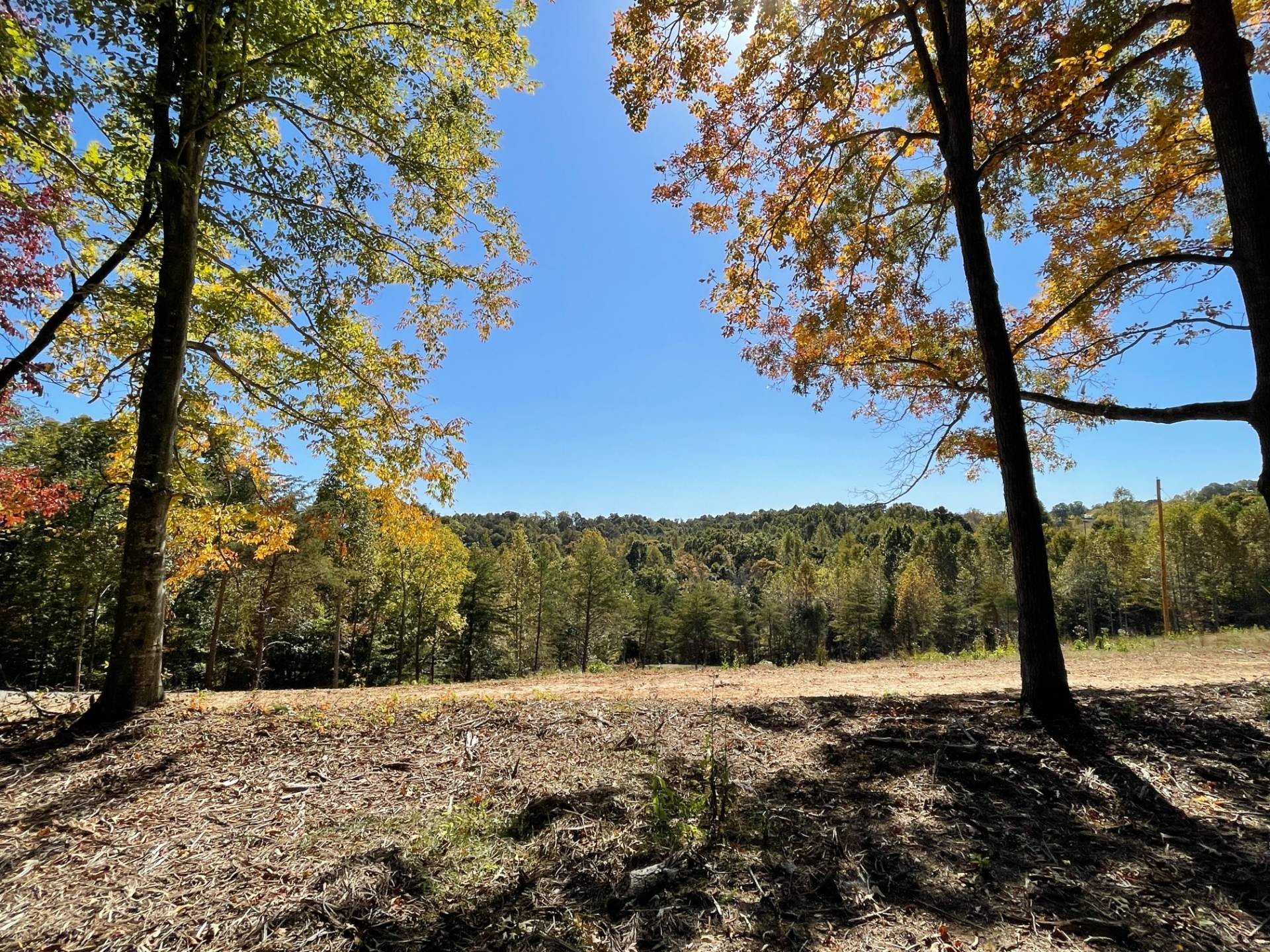 1. Tract 4 9 Acres +/- With Views Near Dale Hollow Lake