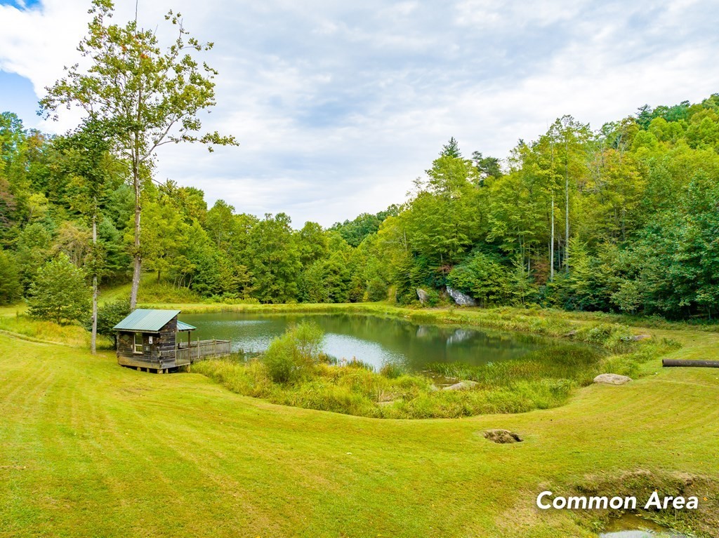 11. Lot 260 Covered Bridge Trl