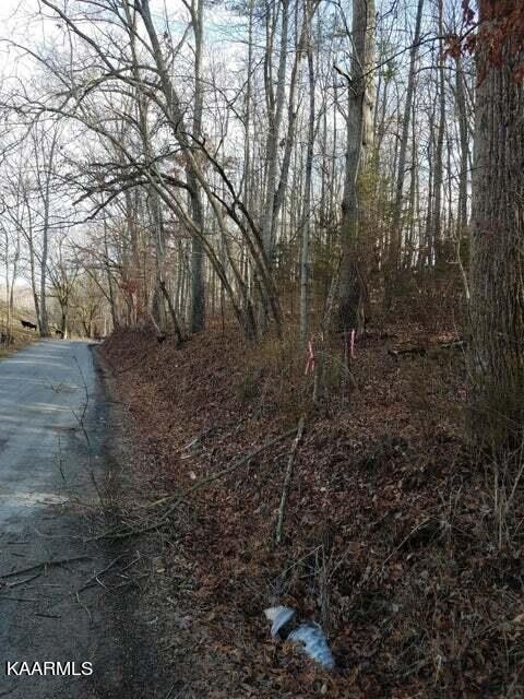 2. Old Cave Springs Rd