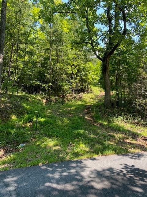 5. Lot 9 Brasstown Acres