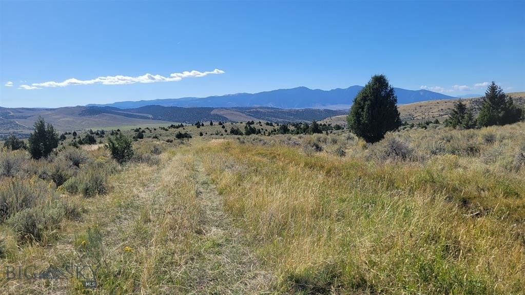 21. 166.96 Acres Sofindigo Trail