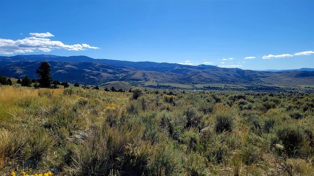 18. 166.96 Acres Private Rd Off Mt Hwy 287