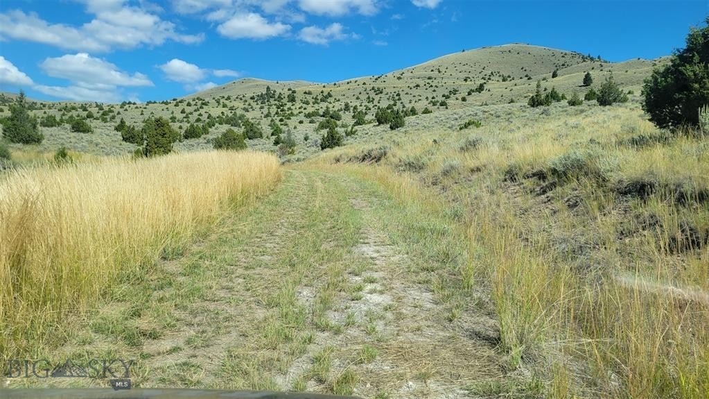 9. 166.96 Acres Private Rd Off Mt Hwy 287