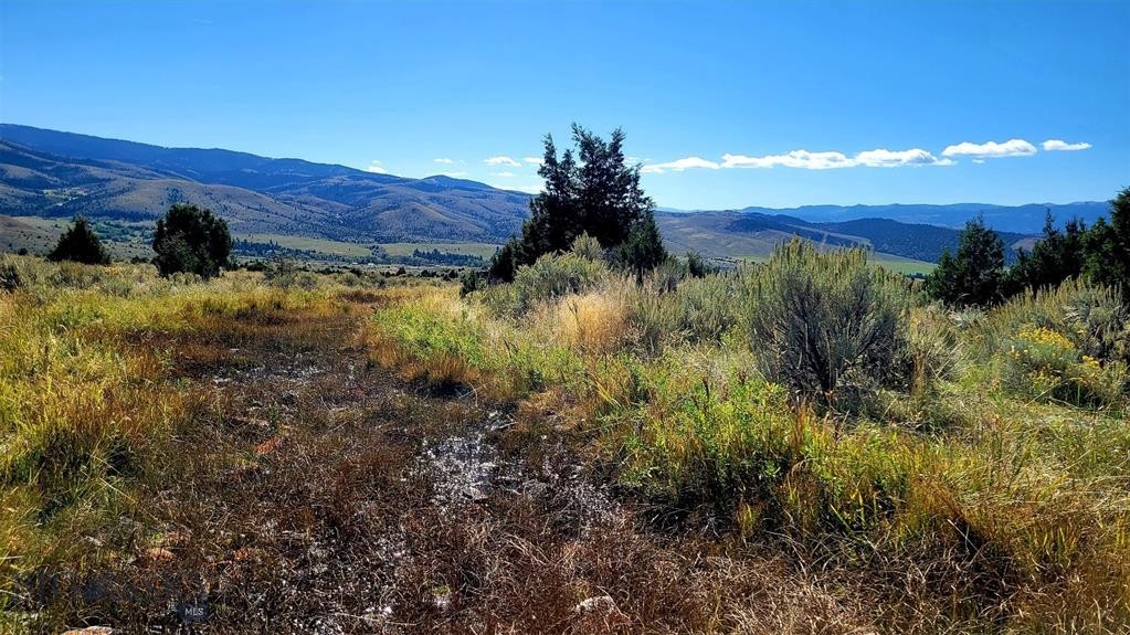 1. 166.96 Acres Private Rd Off Mt Hwy 287