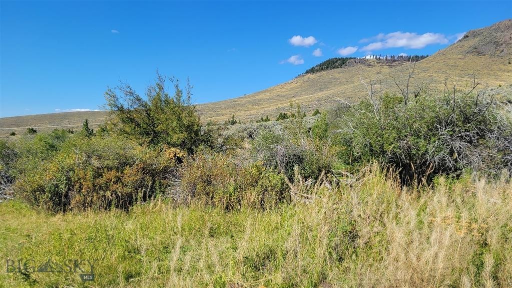 2. 166.96 Acres Private Rd Off Mt Hwy 287