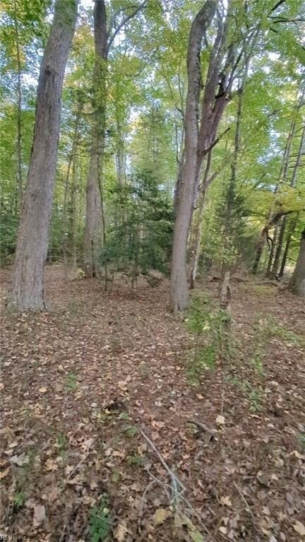 11. .53ac Hickory Fork Road