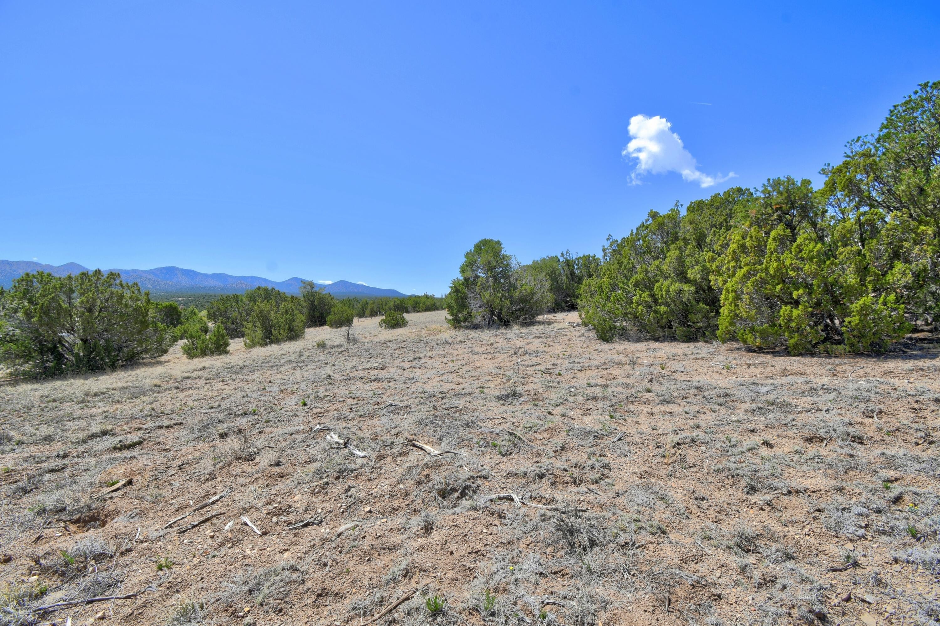 16. Lot 79 San Pedro Creek Estates