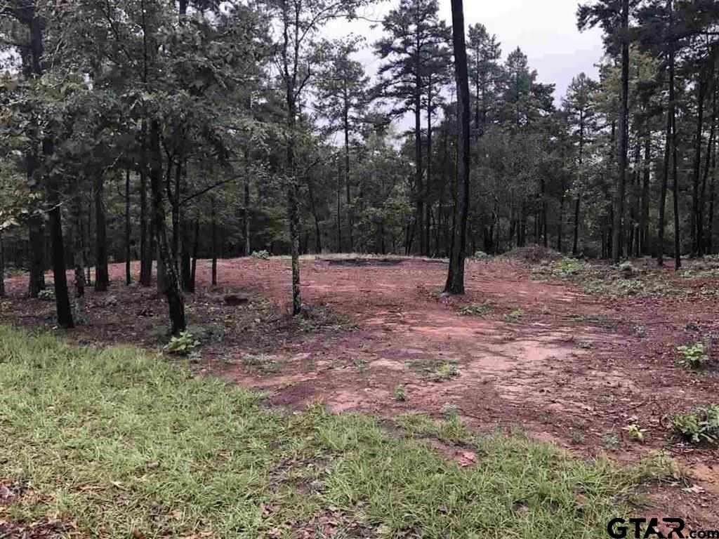 1. Lot 4 Lake Gladewater Rd