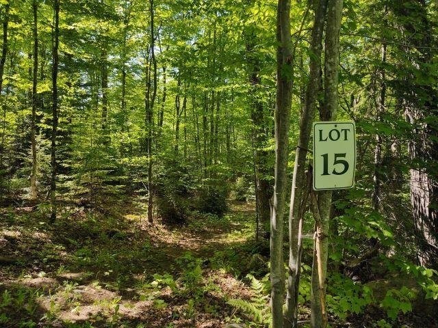 24. Lot 15 East Fence Lake Rd