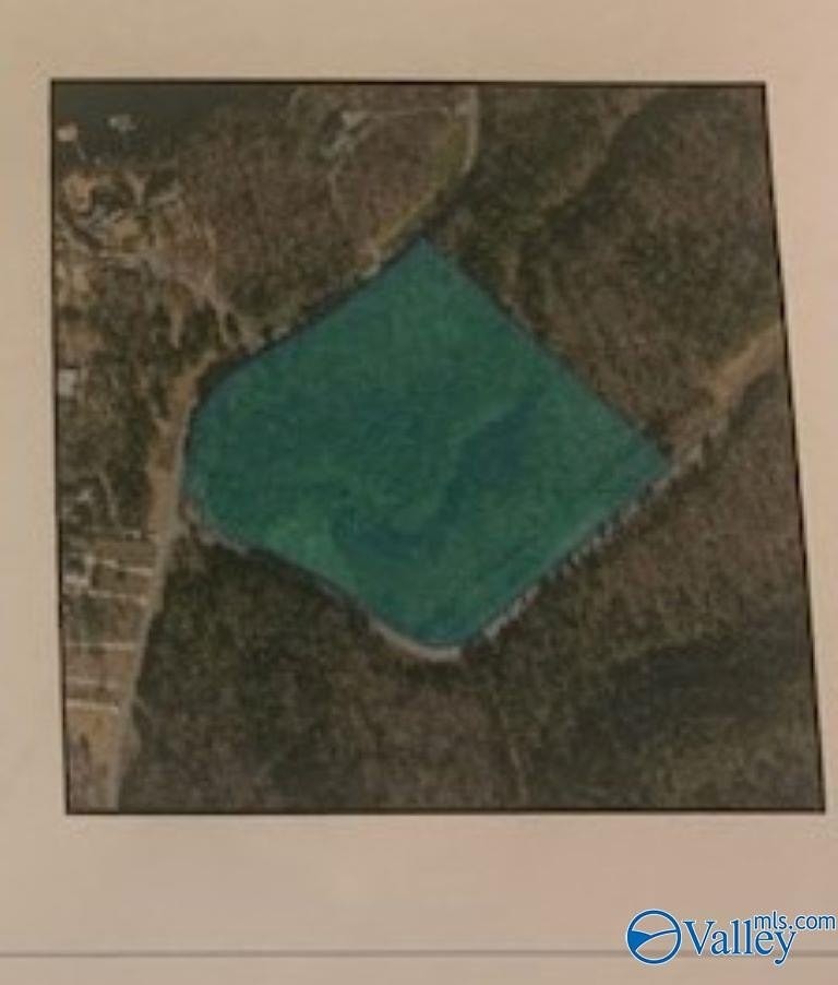 2. 12.5 Acres Lakeshore