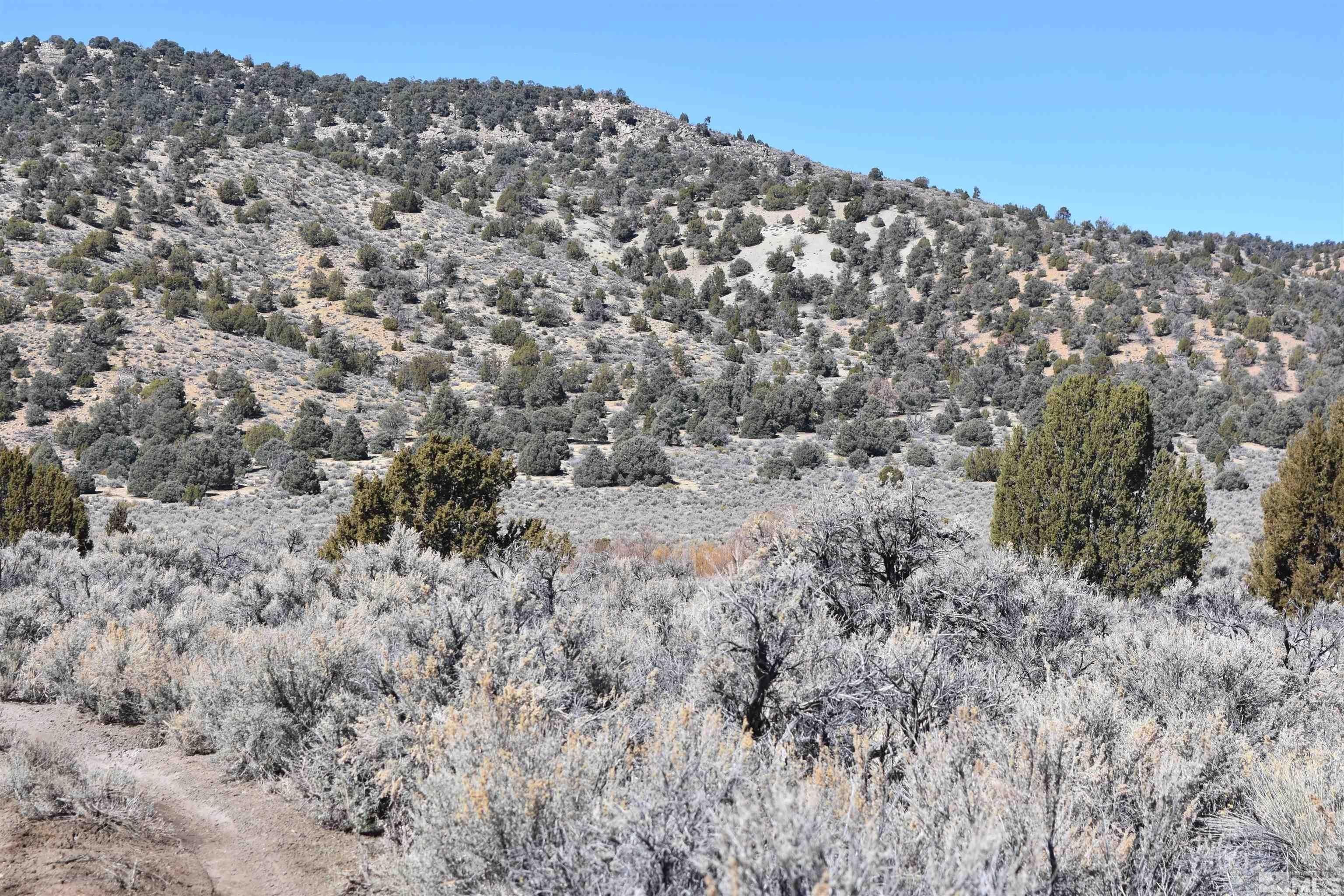 2. Tbd Burbank Canyons Wilderness Study Area (99)