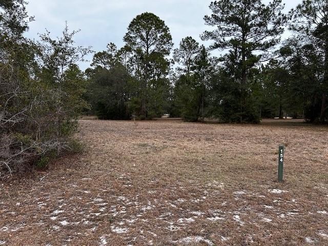 2. Lot 154 Mulligan Drive NE