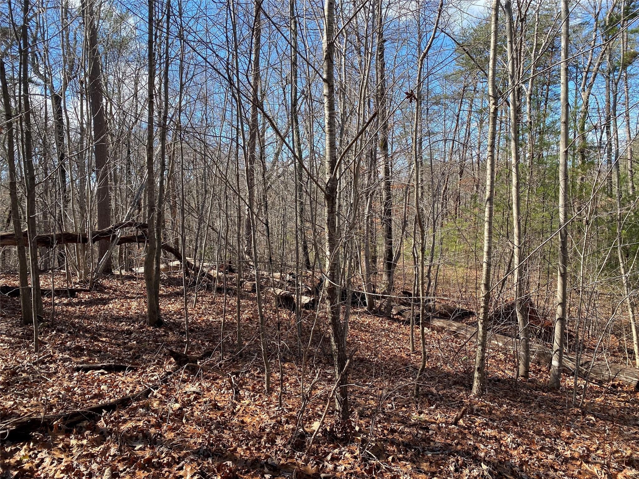 2. Lot 106 High Pines Loop