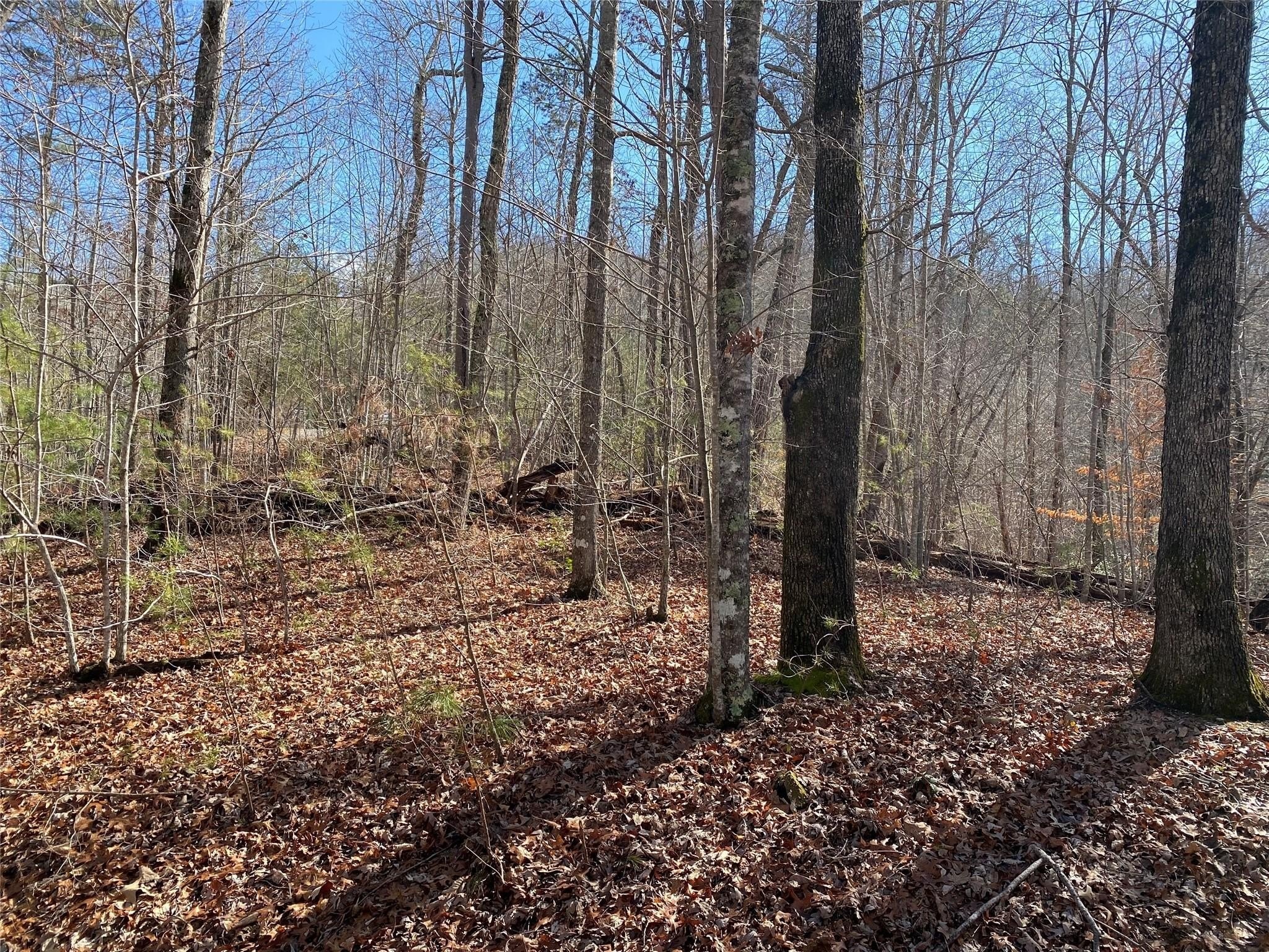 1. Lot 106 High Pines Loop