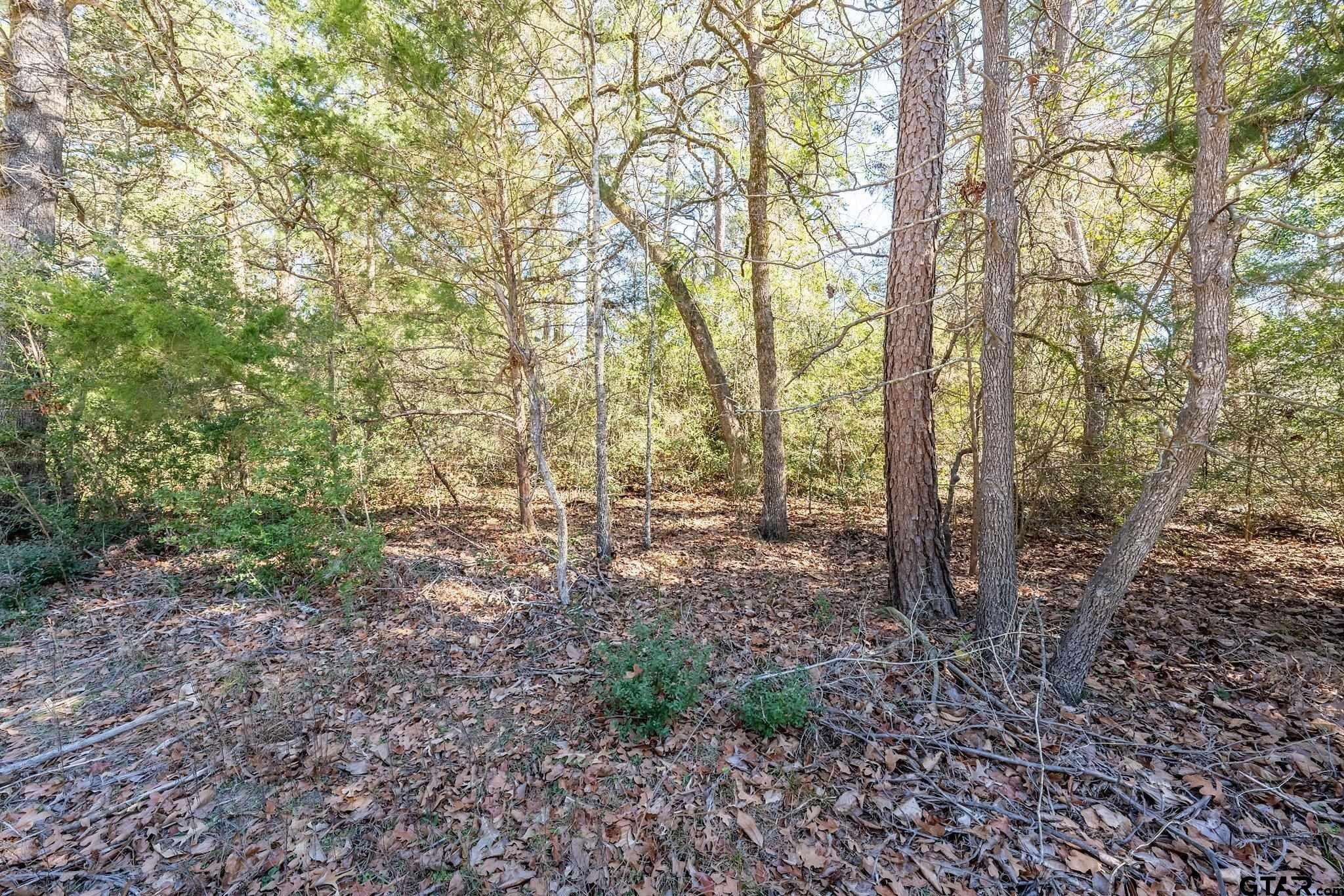 1. Lot 112 Peaceful Valley Trail