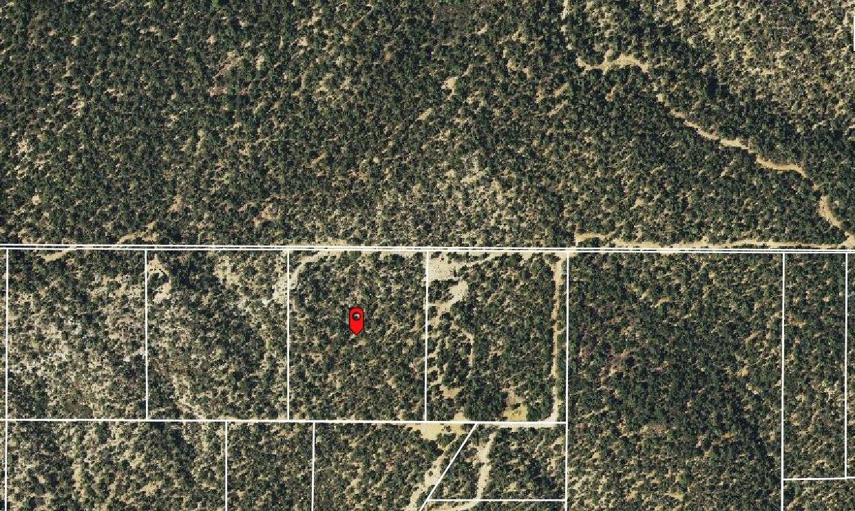 17. 5 Acres Zion Hunting Estates