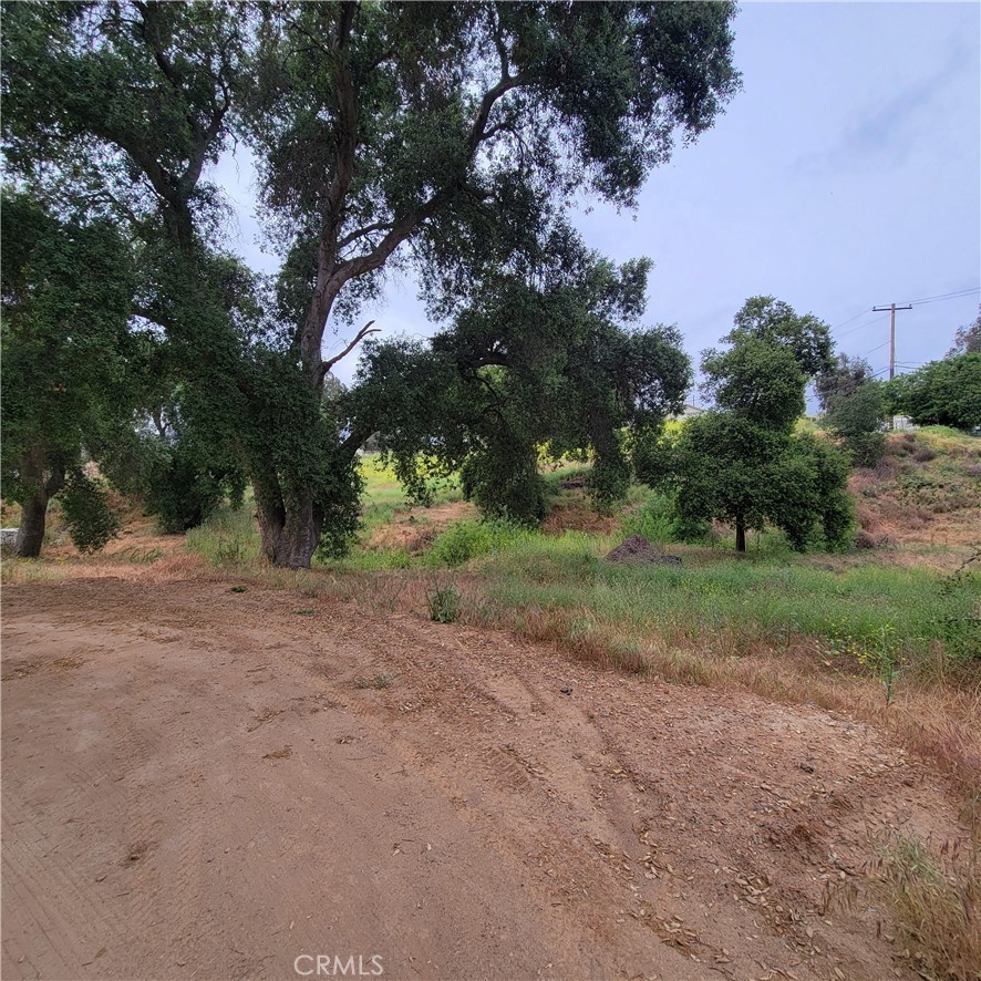 5. 200 Manzanita Road