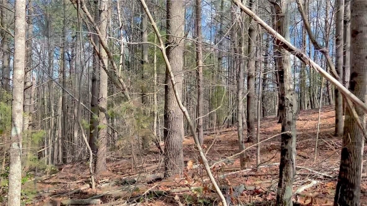 10. 2.25 Acres Lot 161 Johns Ridge Parkway