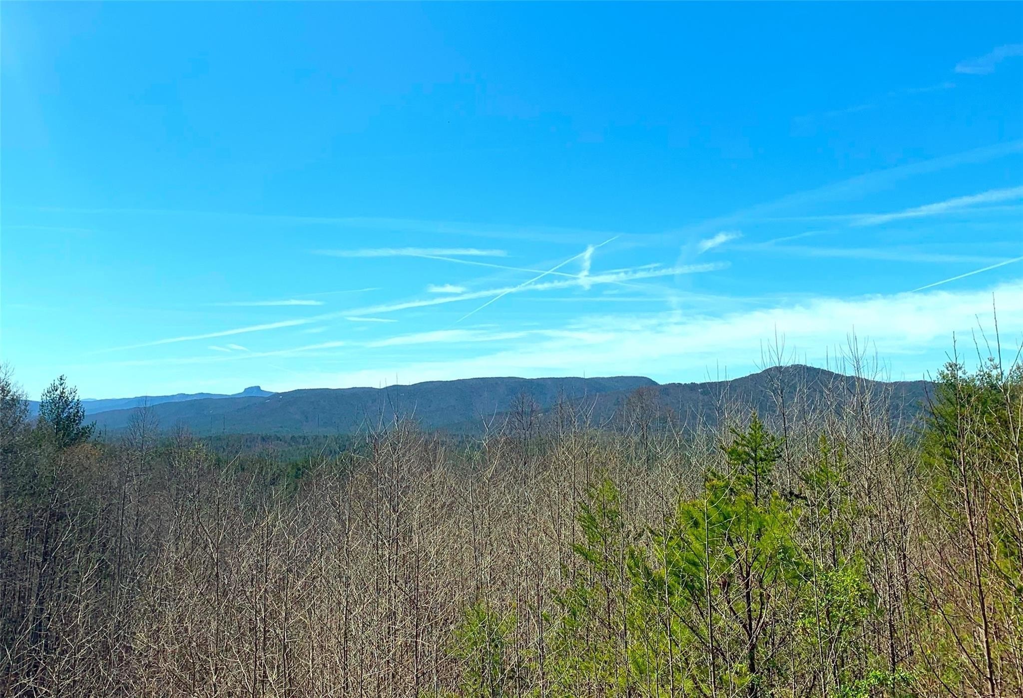 29. 2.25 Acres Lot 161 Johns Ridge Parkway