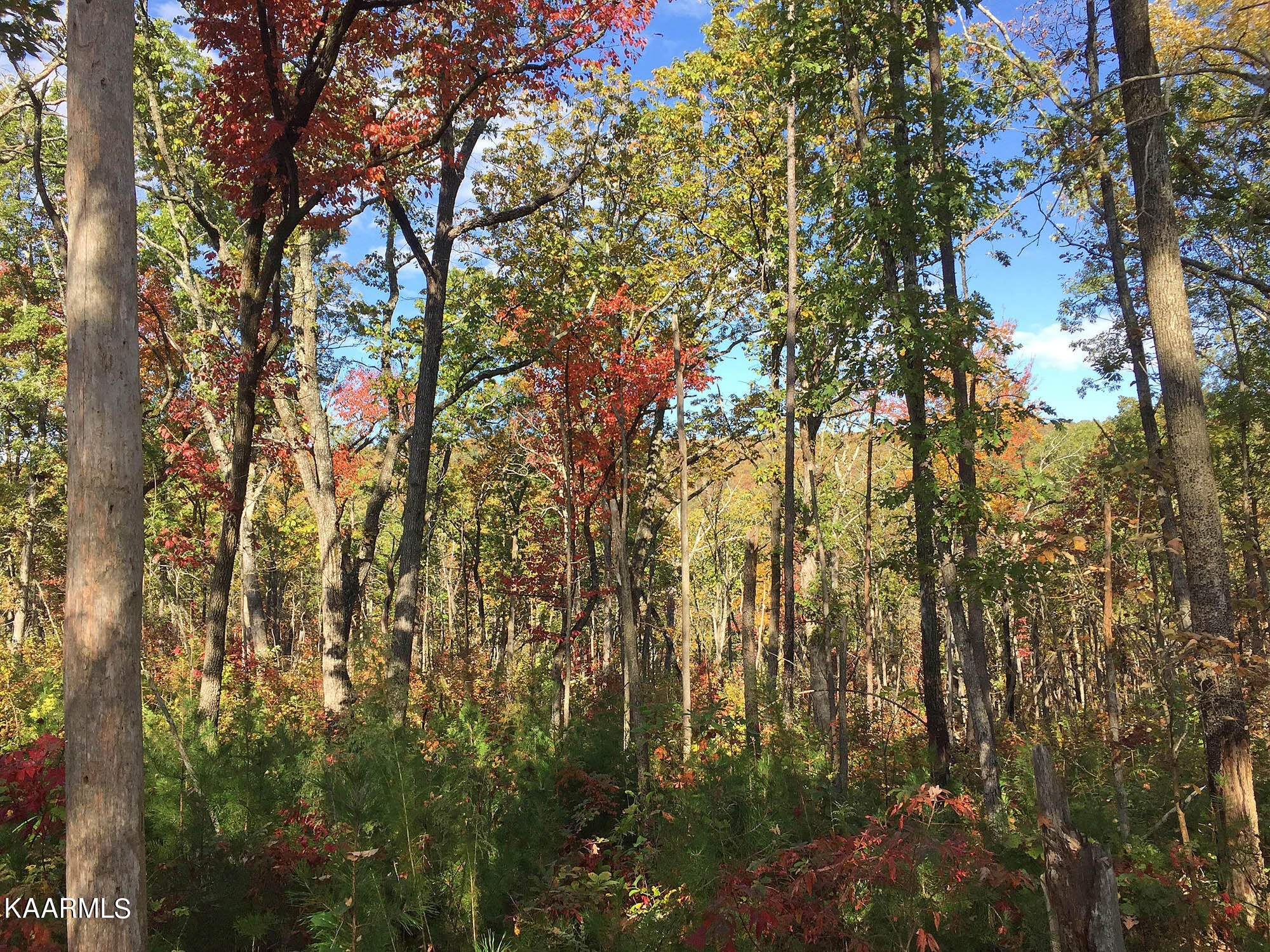 41. Bench Road/Little Mountain