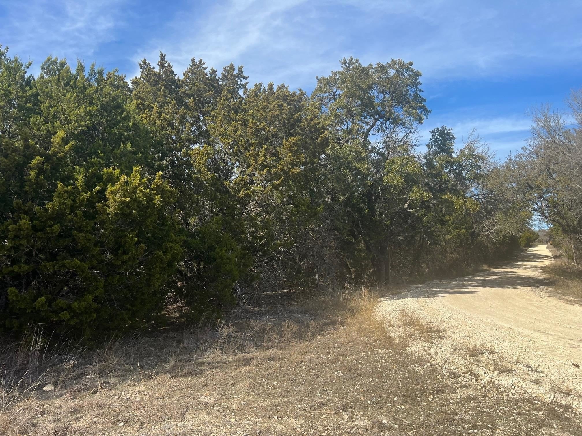 2. 10 Acres County Road 3831