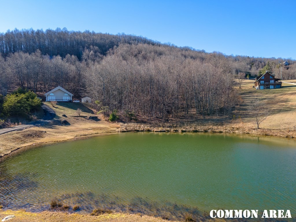 48. 652 Covered Bridge Trl