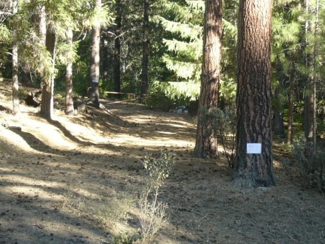 1. 462 Acres Yreka Walker Rd