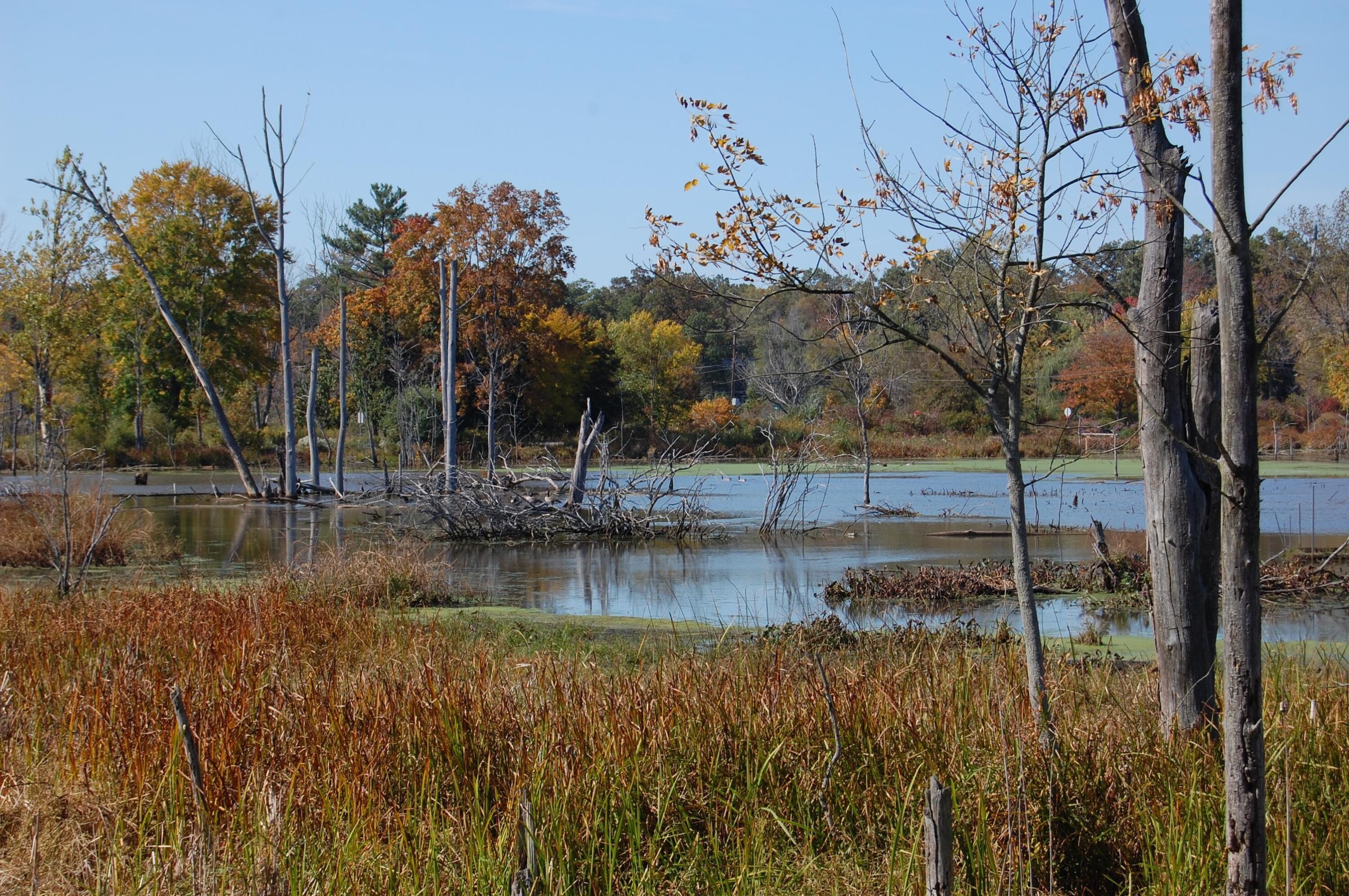 39. 23 Lake Shore County Road