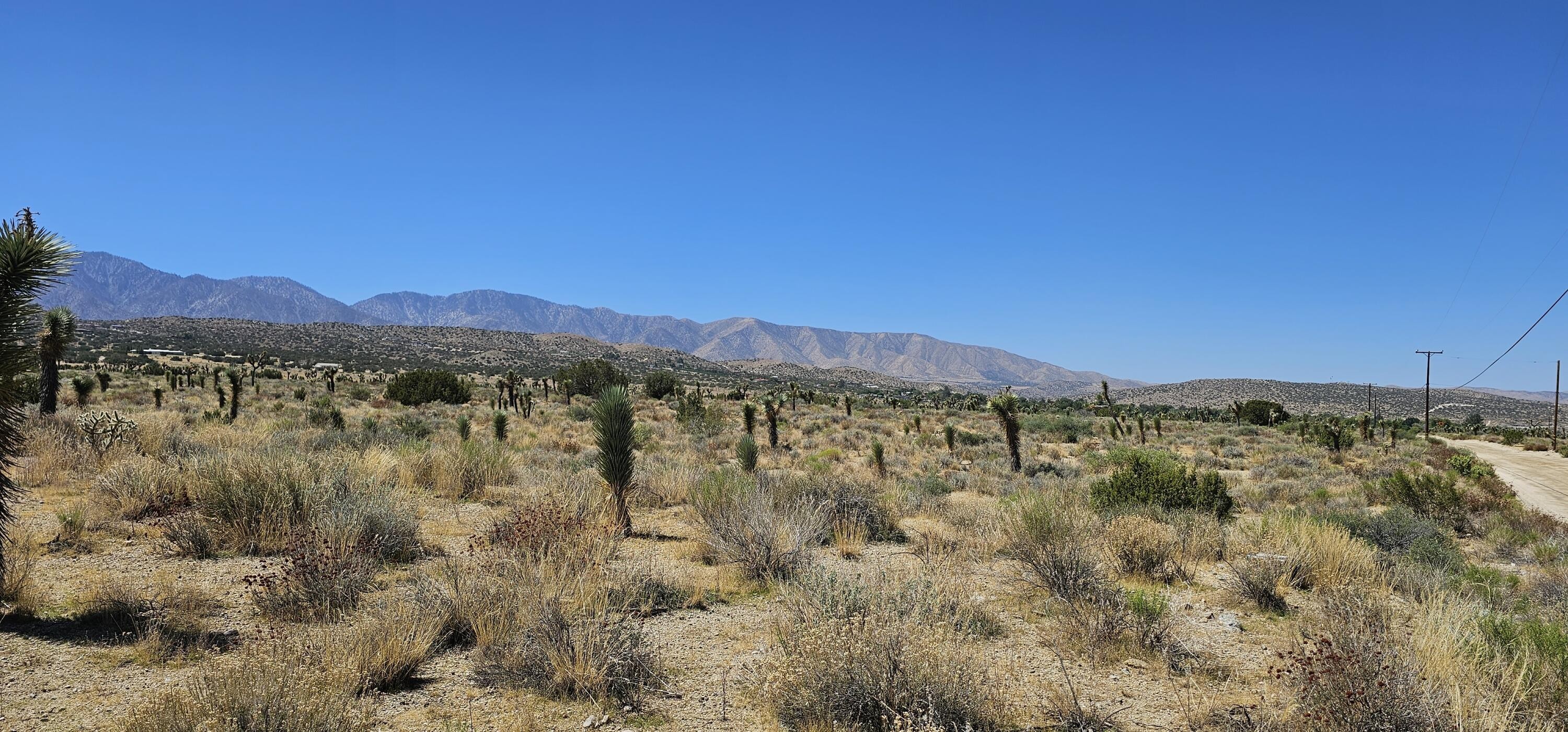 5. Ft Tejon Vic Bob Gaps Road