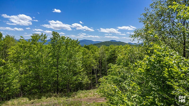 2. Lot 47 Mt Pisgah Park