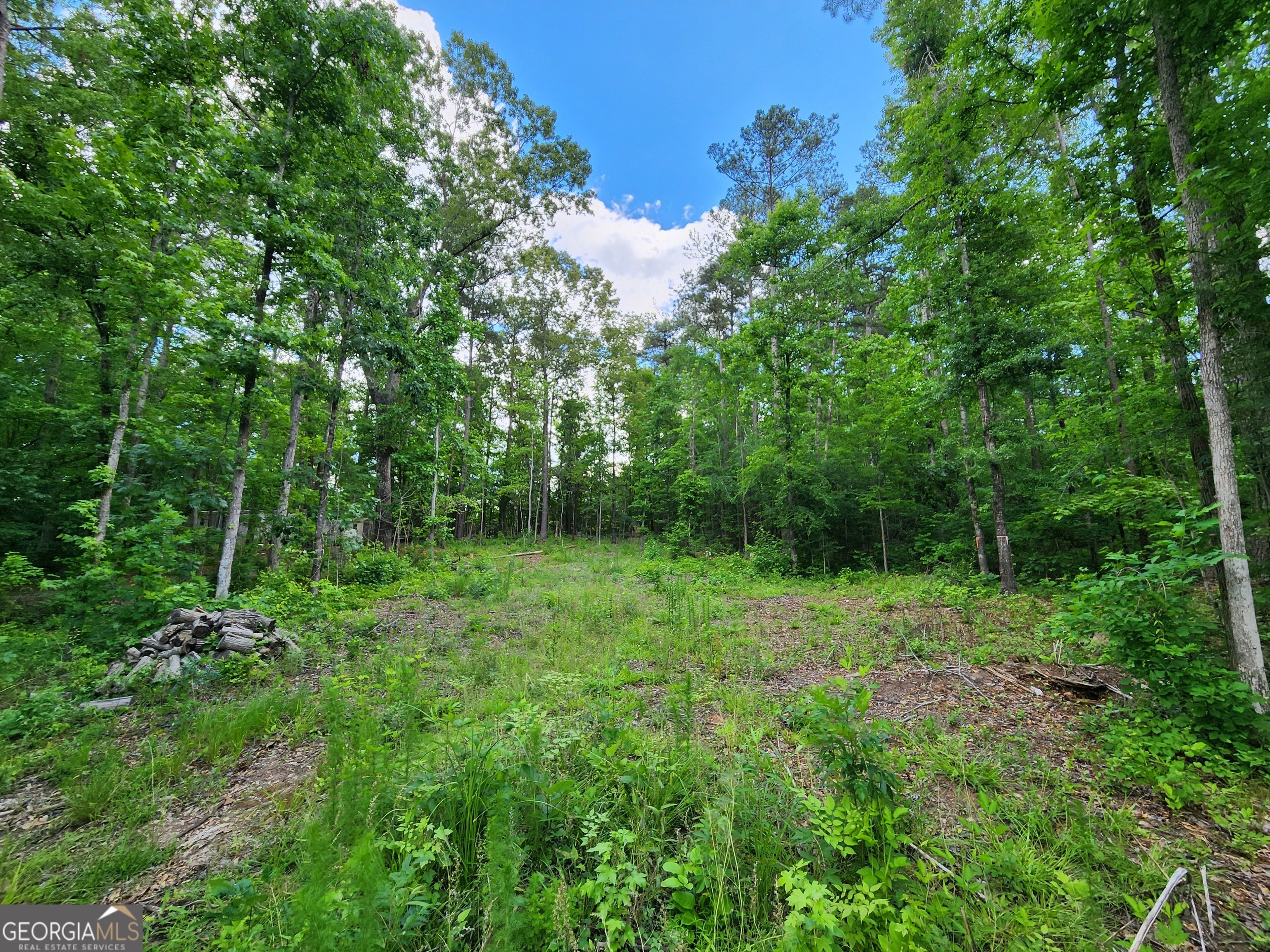1. Lot 165 Sycamore Dr