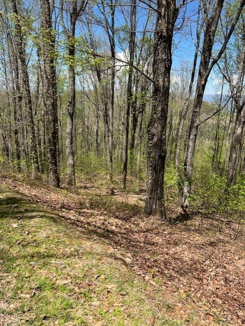 9. Lot 86 Rocky Knob Estate