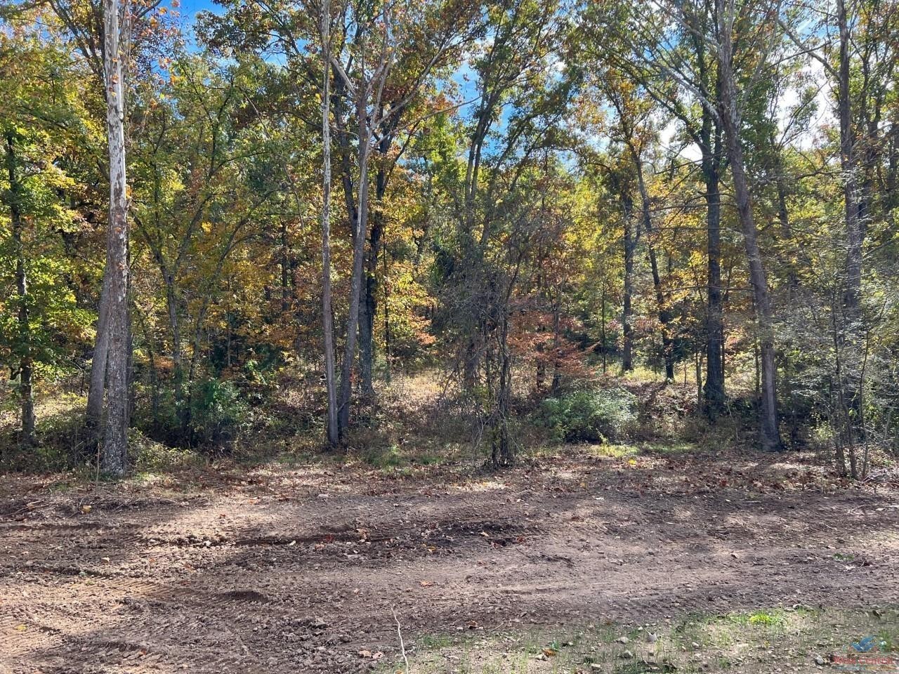 2. 28 Acres Whitetail Way