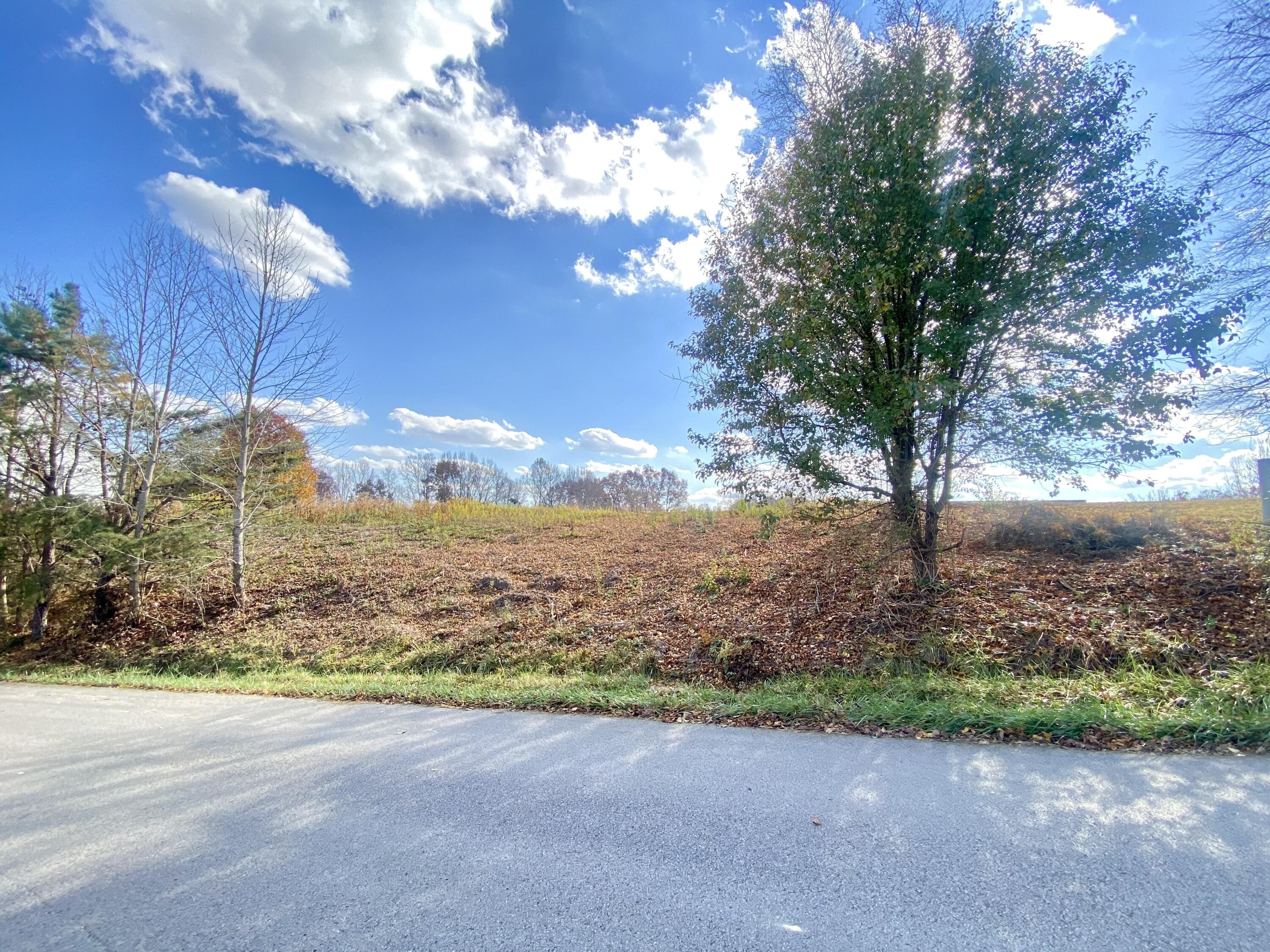 1. Lot 64 Golden Pond Road