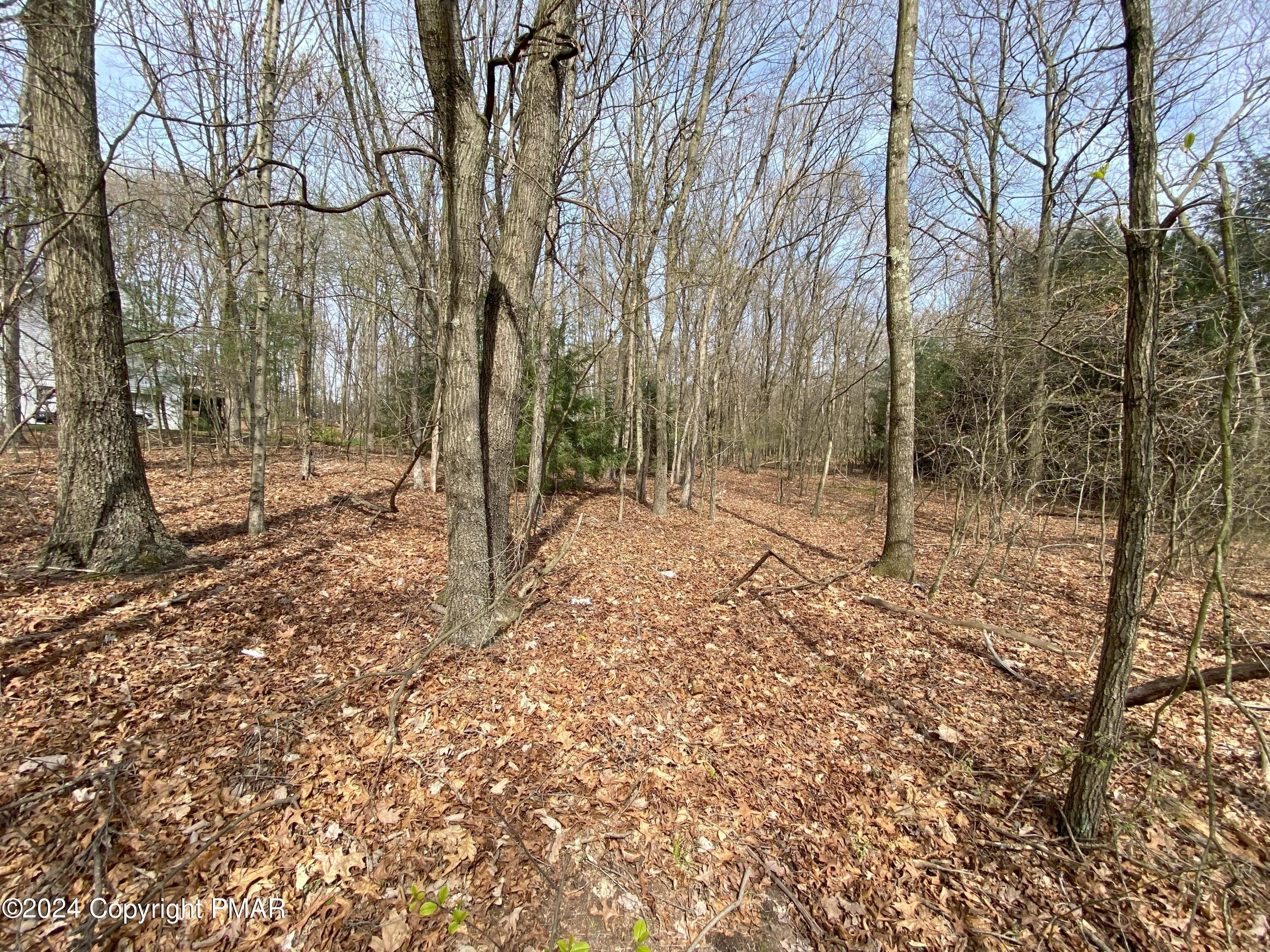 1. Lot A114 Birch Drive