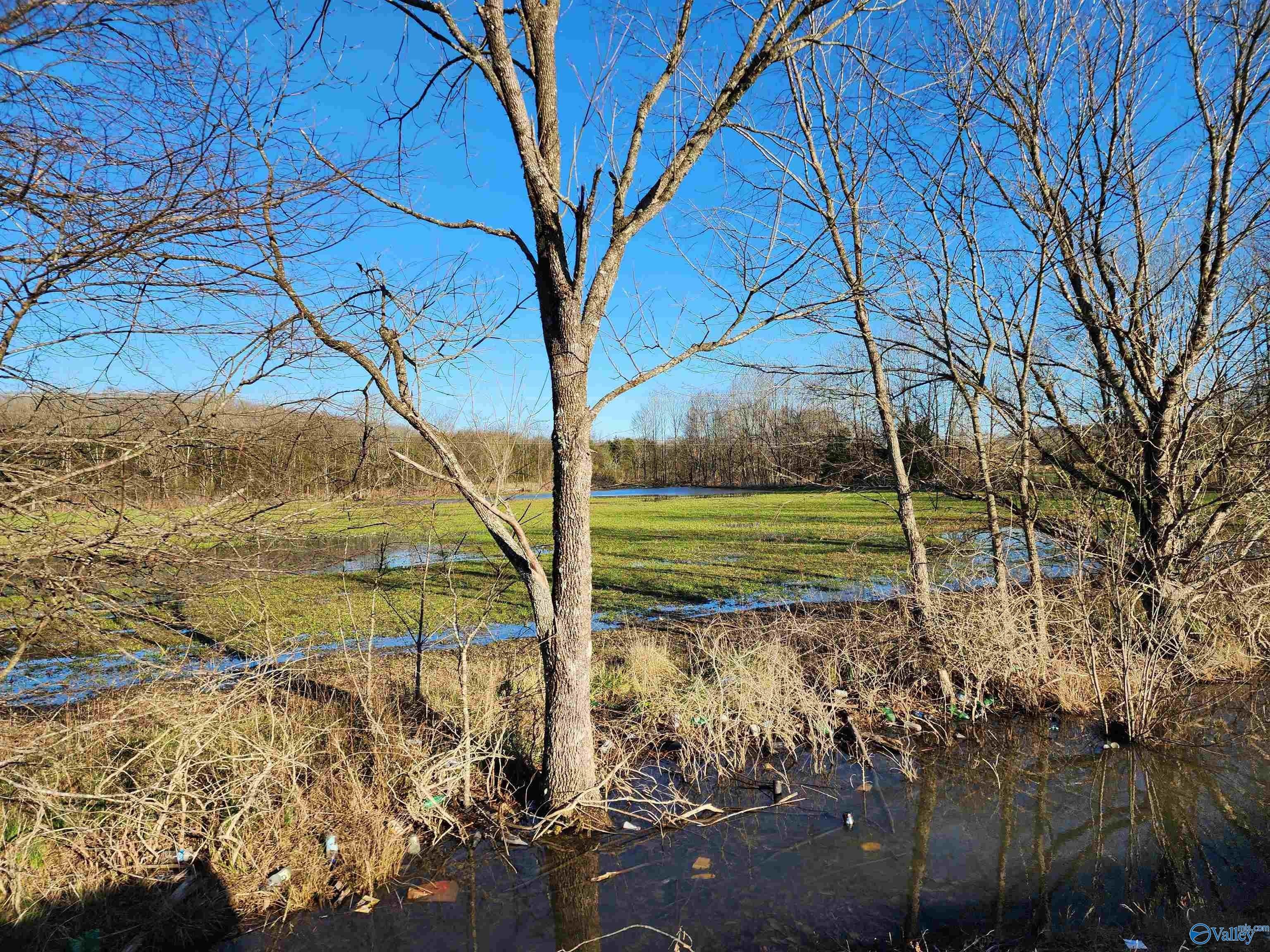 4. 35+/- Acres Of County Road 11