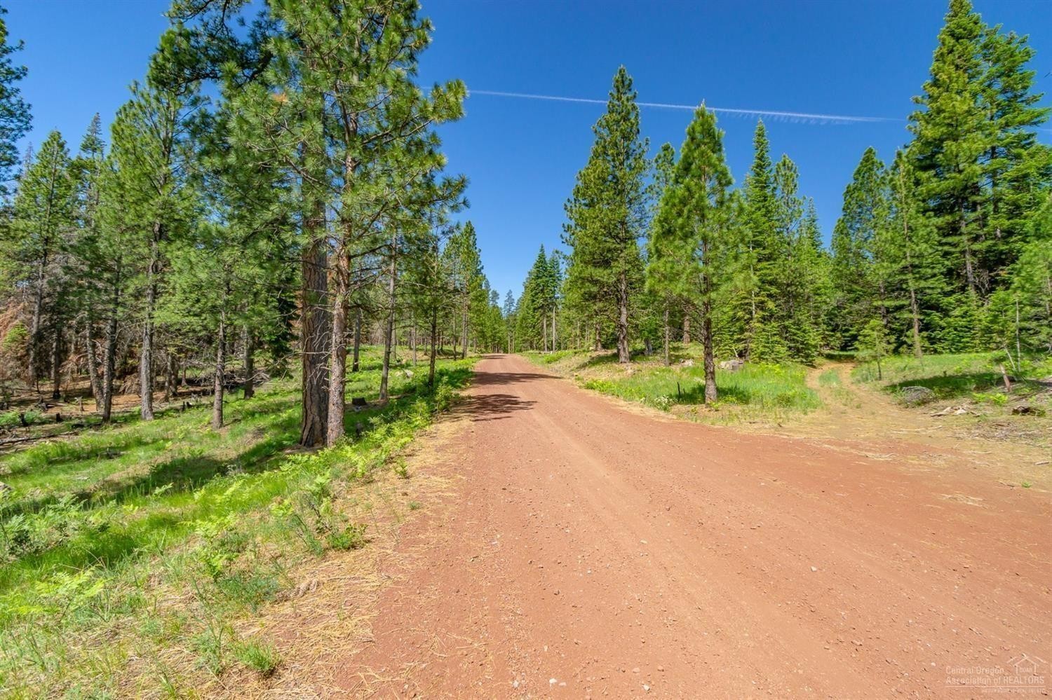 1. Lot-500 Forest Service Road