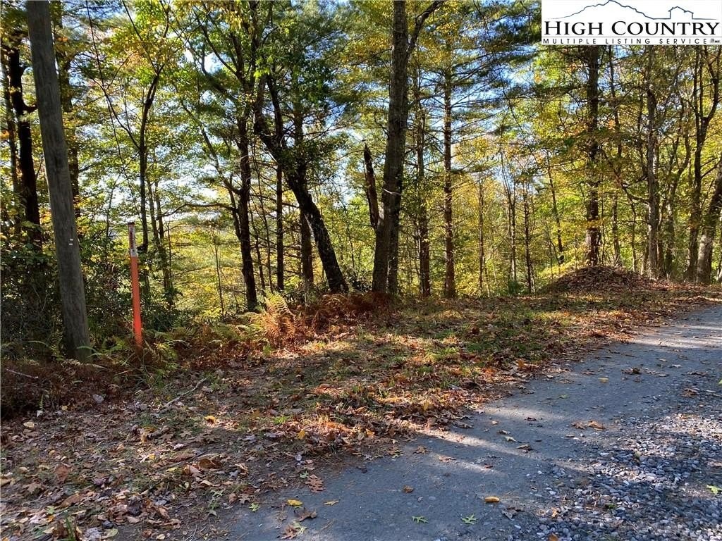 4. Lot 38 Riverwood Trail